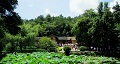 長(zhǎng)沙出發(fā)到花明樓、韶山、張家界國(guó)家森林公園、天門仙山國(guó)家森林公園四日游